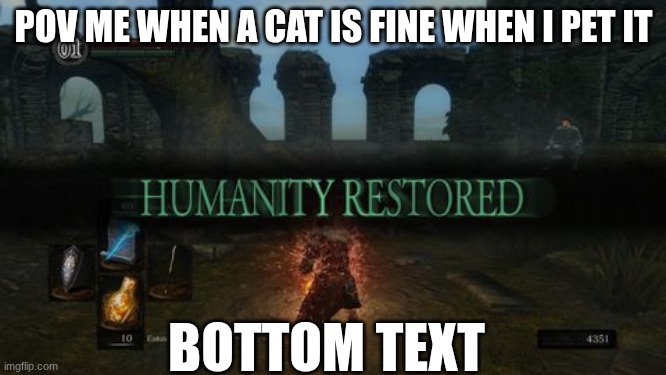 humanity restored | POV ME WHEN A CAT IS FINE WHEN I PET IT; BOTTOM TEXT | image tagged in humanity restored | made w/ Imgflip meme maker