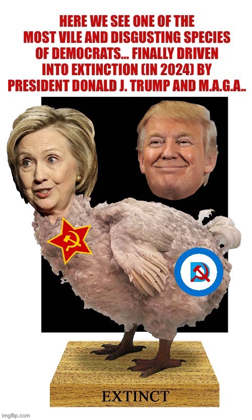 Her presidential ambitions were driven into extinction by DJT… | image tagged in political meme,hillary clinton,donald trump,extinction,dodo,democrat | made w/ Imgflip meme maker