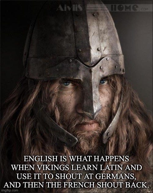 History of the English Language | ENGLISH IS WHAT HAPPENS WHEN VIKINGS LEARN LATIN AND USE IT TO SHOUT AT GERMANS, AND THEN THE FRENCH SHOUT BACK. | image tagged in viking,history,english,latin,french | made w/ Imgflip meme maker