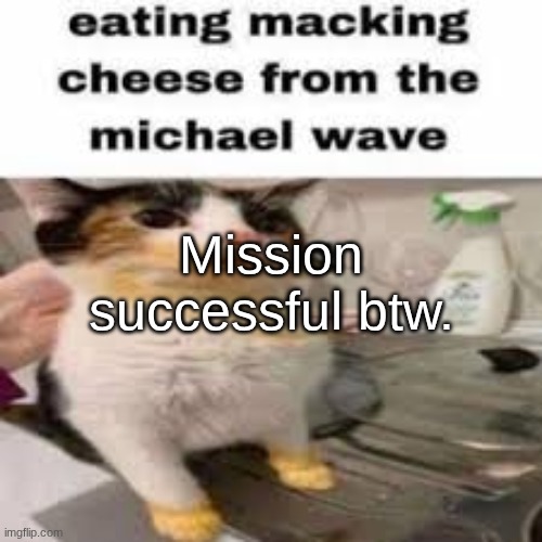 Macking Cheese from the Micheal wave | Mission successful btw. | image tagged in macking cheese from the micheal wave | made w/ Imgflip meme maker