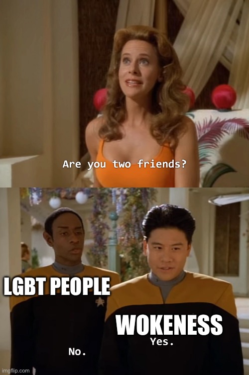 Even centrists hate the woke | LGBT PEOPLE; WOKENESS | image tagged in are you two friends,lgbt,woke | made w/ Imgflip meme maker