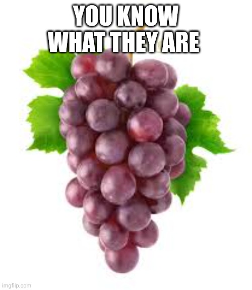 The Grapes of Forgetfulness | YOU KNOW WHAT THEY ARE | image tagged in the grapes of forgetfulness | made w/ Imgflip meme maker