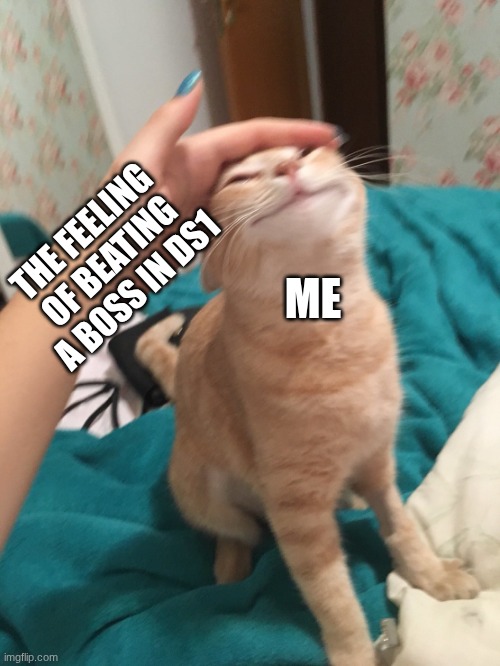 I'm new an ig my character is gonna be my dark souls character | THE FEELING OF BEATING A BOSS IN DS1; ME | image tagged in cat pat | made w/ Imgflip meme maker