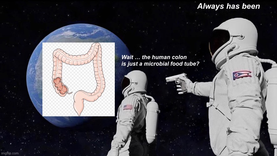 Always Has Been | Always has been; Wait … the human colon is just a microbial food tube? | image tagged in memes,always has been | made w/ Imgflip meme maker