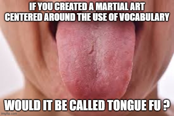 tongue fu | IF YOU CREATED A MARTIAL ART CENTERED AROUND THE USE OF VOCABULARY; WOULD IT BE CALLED TONGUE FU ? | image tagged in martial arts,vocabulary | made w/ Imgflip meme maker