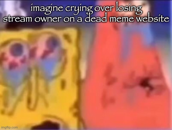 weedbob and fentrick | imagine crying over losing stream owner on a dead meme website | image tagged in weedbob and fentrick | made w/ Imgflip meme maker