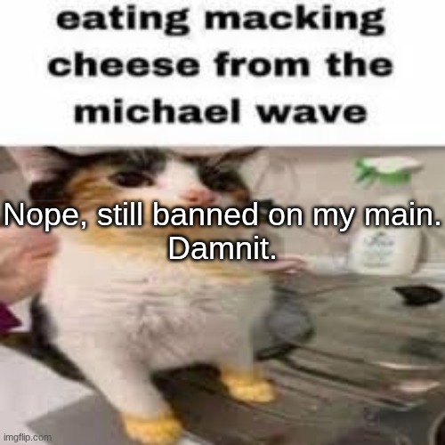 Macking Cheese from the Micheal wave | Nope, still banned on my main.
Damnit. | image tagged in macking cheese from the micheal wave | made w/ Imgflip meme maker