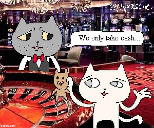 cat | image tagged in rmk | made w/ Imgflip meme maker