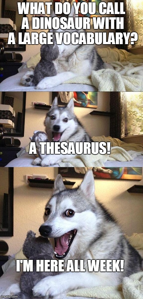 Bad Dog! Bad Pun Dog! | WHAT DO YOU CALL A DINOSAUR WITH A LARGE VOCABULARY? A THESAURUS! I'M HERE ALL WEEK! | image tagged in memes,bad pun dog | made w/ Imgflip meme maker