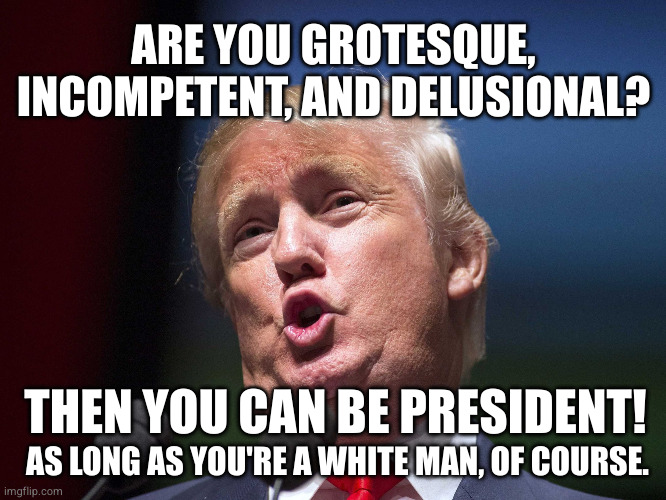 Grotesque, incompetent Trump | ARE YOU GROTESQUE, INCOMPETENT, AND DELUSIONAL? THEN YOU CAN BE PRESIDENT! AS LONG AS YOU'RE A WHITE MAN, OF COURSE. | image tagged in donald trump huge | made w/ Imgflip meme maker