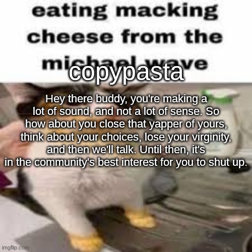 Macking Cheese from the Micheal wave | copypasta; Hey there buddy, you're making a lot of sound, and not a lot of sense. So how about you close that yapper of yours, think about your choices, lose your virginity, and then we'll talk. Until then, it's in the community's best interest for you to shut up. | image tagged in macking cheese from the micheal wave | made w/ Imgflip meme maker
