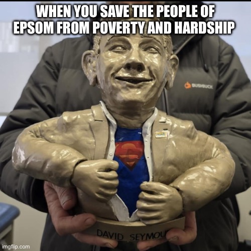 All in a days work | WHEN YOU SAVE THE PEOPLE OF EPSOM FROM POVERTY AND HARDSHIP | image tagged in new zealand,political meme | made w/ Imgflip meme maker
