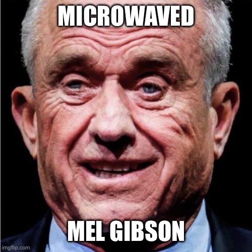Microwaved Mel Gibson | MICROWAVED; MEL GIBSON | image tagged in rfk jr | made w/ Imgflip meme maker