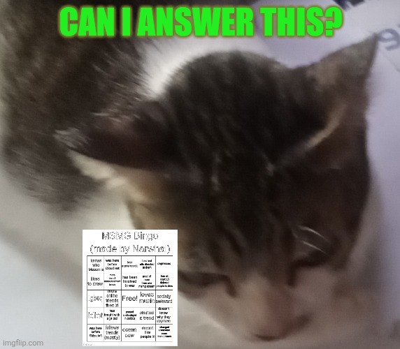 Ming mong | CAN I ANSWER THIS? | image tagged in ming mong | made w/ Imgflip meme maker