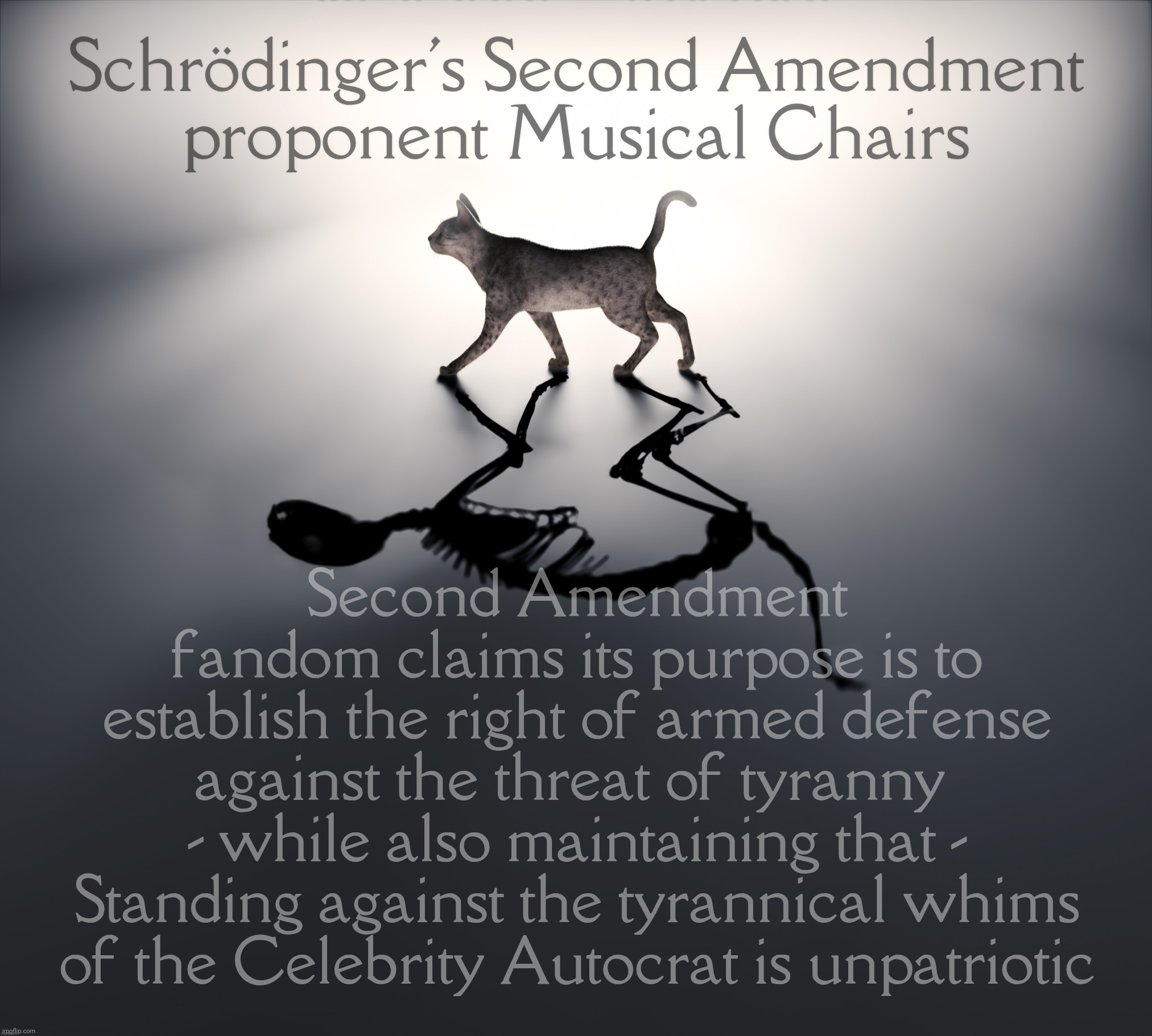 Schrodinger's Cat | Schrödinger's Second Amendment
proponent Musical Chairs; Second Amendment
fandom claims its purpose is to
establish the right of armed defense
against the threat of tyranny 
- while also maintaining that -
Standing against the tyrannical whims
of the Celebrity Autocrat is unpatriotic | image tagged in schrodinger's cat | made w/ Imgflip meme maker