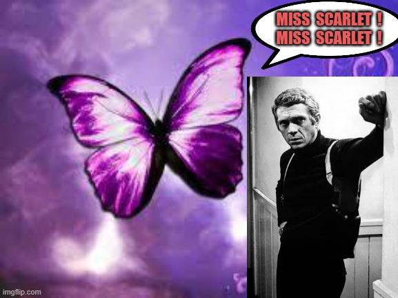 Purple Butterfly | MISS  SCARLET  !
MISS  SCARLET  ! | image tagged in purple butterfly | made w/ Imgflip meme maker