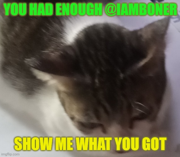 Ming mong | YOU HAD ENOUGH @IAMBONER; SHOW ME WHAT YOU GOT | image tagged in ming mong | made w/ Imgflip meme maker