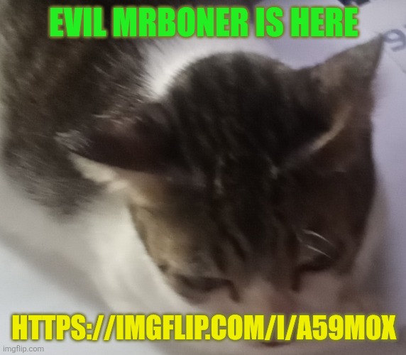 https://imgflip.com/i/a59m0x | EVIL MRBONER IS HERE; HTTPS://IMGFLIP.COM/I/A59M0X | image tagged in ming mong | made w/ Imgflip meme maker