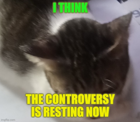 Im safe now...or maybe | I THINK; THE CONTROVERSY IS RESTING NOW | image tagged in ming mong | made w/ Imgflip meme maker