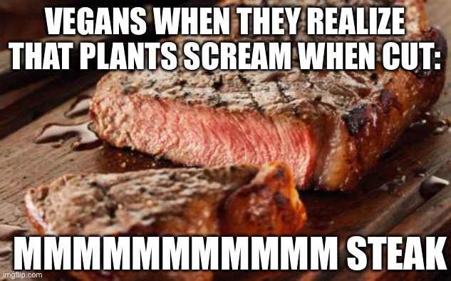 Steak | VEGANS WHEN THEY REALIZE THAT PLANTS SCREAM WHEN CUT:; MMMMMMMMMMM STEAK | image tagged in steak | made w/ Imgflip meme maker