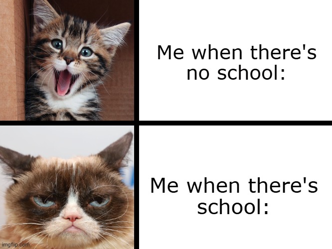 Me when there's
no school:; Me when there's
school: | made w/ Imgflip meme maker