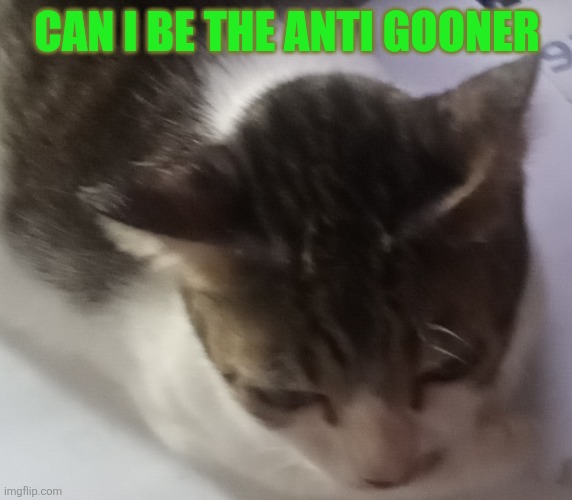 Ming mong | CAN I BE THE ANTI GOONER | image tagged in ming mong | made w/ Imgflip meme maker