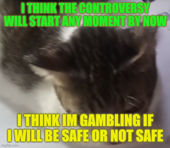 The turns are on | I THINK THE CONTROVERSY WILL START ANY MOMENT BY NOW; I THINK IM GAMBLING IF I WILL BE SAFE OR NOT SAFE | image tagged in ming mong | made w/ Imgflip meme maker