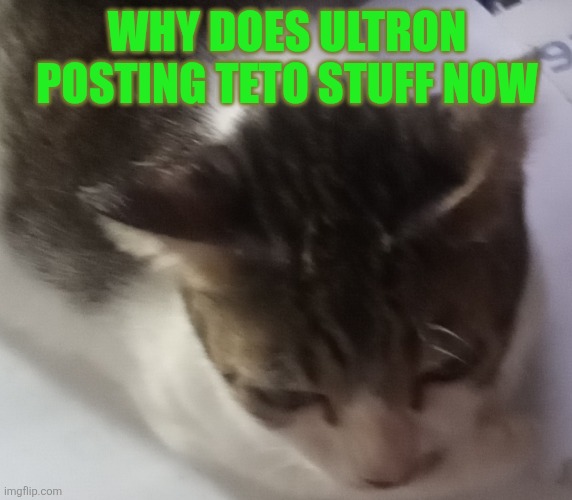 Ming mong | WHY DOES ULTRON POSTING TETO STUFF NOW | image tagged in ming mong | made w/ Imgflip meme maker