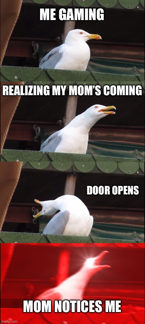 Inhaling Seagull | ME GAMING; REALIZING MY MOM’S COMING; DOOR OPENS; MOM NOTICES ME | image tagged in memes,inhaling seagull,mom,gaming | made w/ Imgflip meme maker