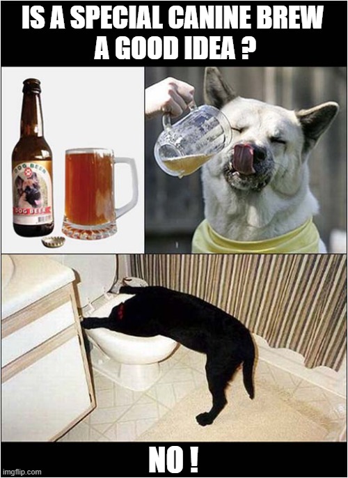 Beer For Dogs ? | IS A SPECIAL CANINE BREW 
A GOOD IDEA ? NO ! | image tagged in dogs,beer,bad idea | made w/ Imgflip meme maker