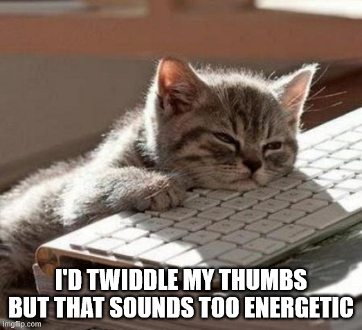 So bored today! | I'D TWIDDLE MY THUMBS BUT THAT SOUNDS TOO ENERGETIC | image tagged in tired cat,twiddle thumbs,energetic | made w/ Imgflip meme maker