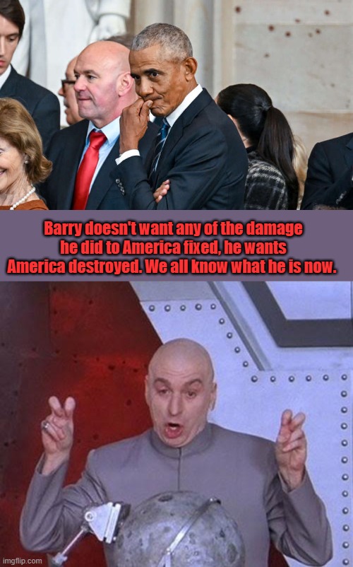 Treasonous Traitor | Barry doesn't want any of the damage he did to America fixed, he wants America destroyed. We all know what he is now. | image tagged in memes,dr evil laser | made w/ Imgflip meme maker