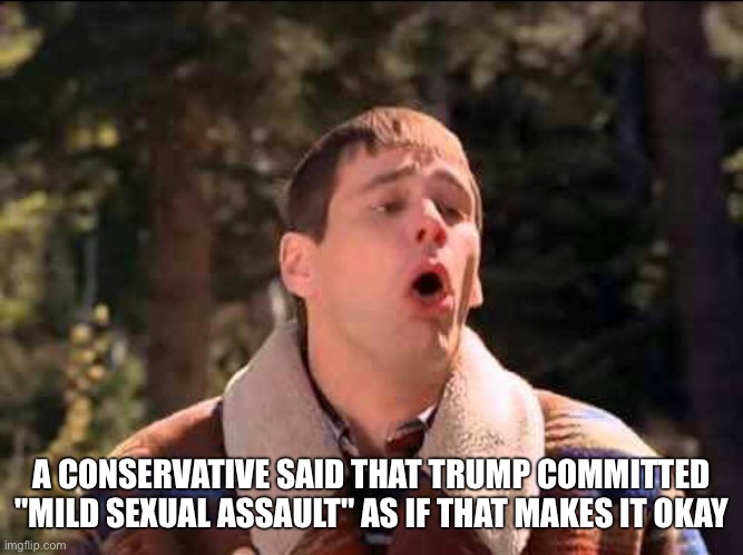 Do better, conservatives | A CONSERVATIVE SAID THAT TRUMP COMMITTED "MILD SEXUAL ASSAULT" AS IF THAT MAKES IT OKAY | image tagged in sick | made w/ Imgflip meme maker