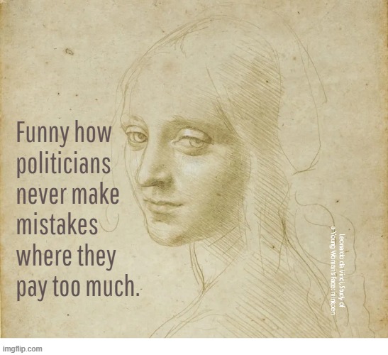 Indeed | Funny how
politicians
never make
mistakes
where they
pay too much. Leonardo da Vinci, Study of
a Young Woman’s Face: minkpen | image tagged in artmemes,politics,politicians,mp,money,government | made w/ Imgflip meme maker