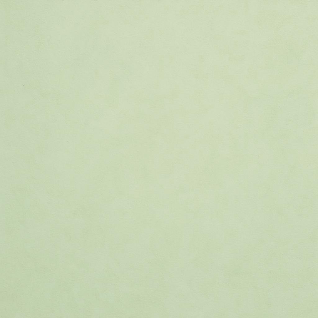 pale green photo with no words Blank Meme Template