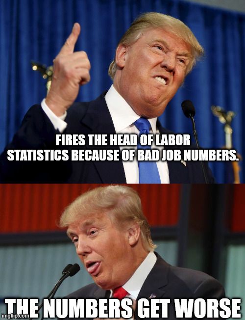 FIRES THE HEAD OF LABOR STATISTICS BECAUSE OF BAD JOB NUMBERS. THE NUMBERS GET WORSE | image tagged in donald trump meme,dumb trump | made w/ Imgflip meme maker