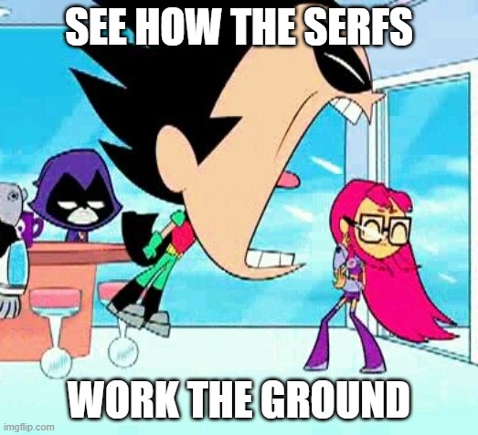 robin yelling at starfire | SEE HOW THE SERFS; WORK THE GROUND | image tagged in robin yelling at starfire | made w/ Imgflip meme maker