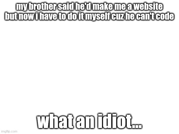 nah cuz he legit asked me "how do you do this?" sobs | my brother said he'd make me a website but now i have to do it myself cuz he can't code; what an idiot... | made w/ Imgflip meme maker