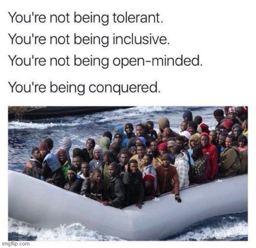 Invasion | image tagged in virtue signalers,liberals,destroy,democrat party | made w/ Imgflip meme maker