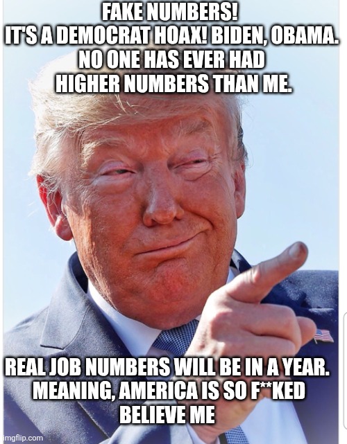 Trump pointing | FAKE NUMBERS! 
IT'S A DEMOCRAT HOAX! BIDEN, OBAMA.
NO ONE HAS EVER HAD
 HIGHER NUMBERS THAN ME. REAL JOB NUMBERS WILL BE IN A YEAR. 

MEANIN | image tagged in trump pointing | made w/ Imgflip meme maker