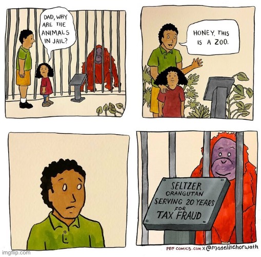 image tagged in comics,pbf,zoo,jail,orangutan,tax fraud | made w/ Imgflip meme maker