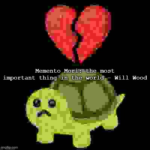 low quality hearbroken turtle | Memento Mori: the most important thing in the world - Will Wood | image tagged in low quality hearbroken turtle | made w/ Imgflip meme maker