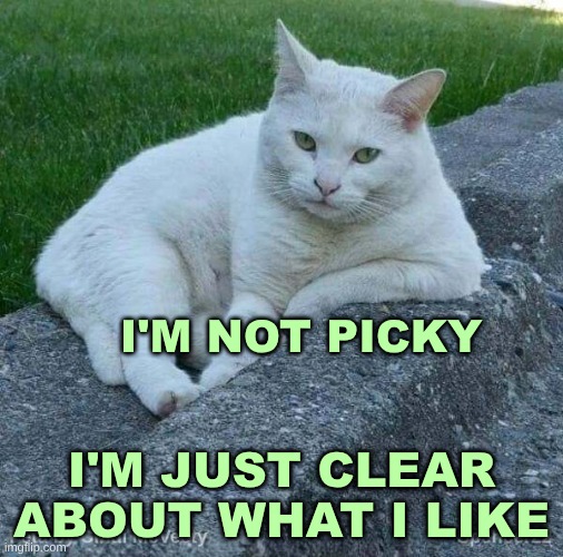 Careful Attention to Detail | I'M NOT PICKY; I'M JUST CLEAR ABOUT WHAT I LIKE | image tagged in feta,smudge,choose,you can pick only one choose wisely,what do we want,people who don't know vs people who know | made w/ Imgflip meme maker