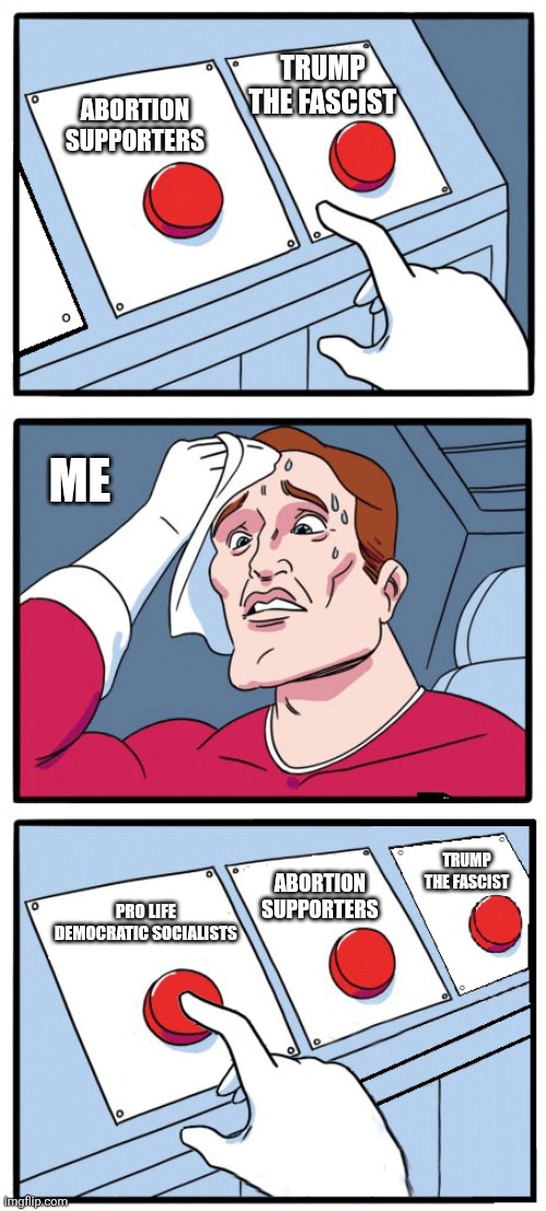 We exist but we are an endangered species | TRUMP THE FASCIST; ABORTION SUPPORTERS; ME; TRUMP THE FASCIST; PRO LIFE DEMOCRATIC SOCIALISTS; ABORTION SUPPORTERS | image tagged in daily struggle - 3rd option | made w/ Imgflip meme maker