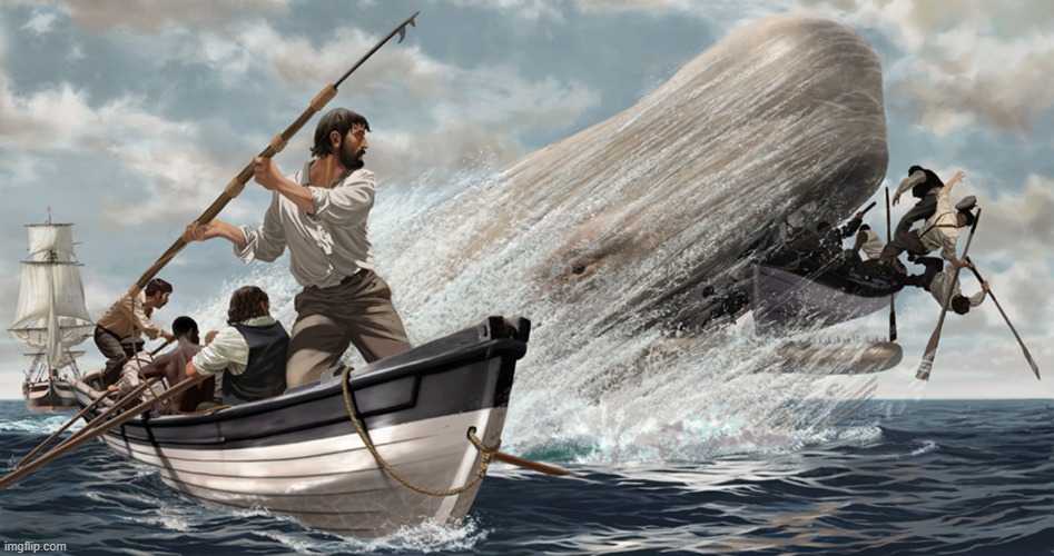 Ahab harpooning the white whale | image tagged in ahab harpooning the white whale | made w/ Imgflip meme maker