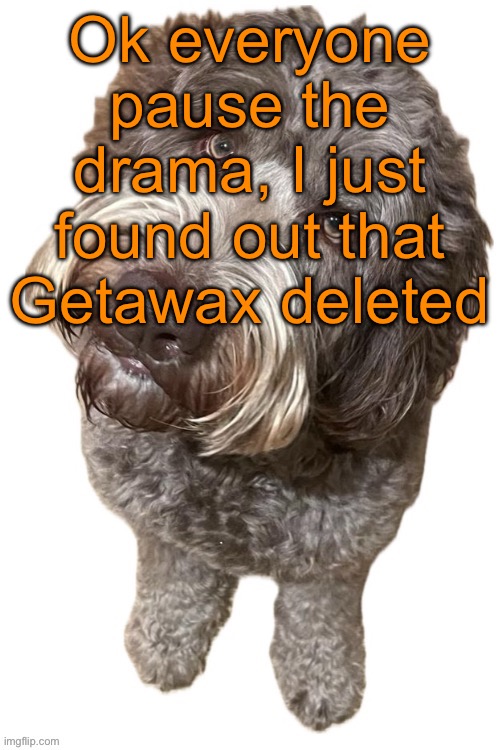 His account is gone, and I have no idea why. What makes it worse is that he said that he would never delete. | Ok everyone pause the drama, I just found out that Getawax deleted | image tagged in norther's dog | made w/ Imgflip meme maker