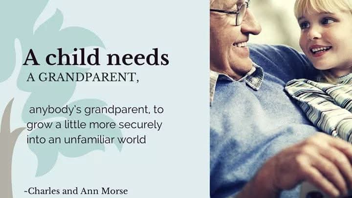 Surrogate Grandparents-USA Blank Meme Template