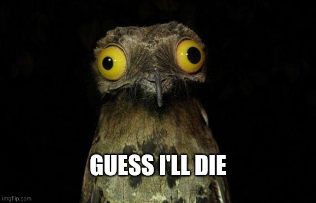 GUESS I'LL DIE | image tagged in memes,weird stuff i do potoo | made w/ Imgflip meme maker
