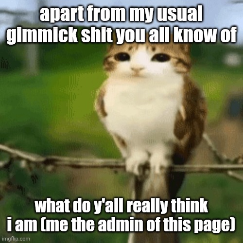 apart from my usual gimmick shit you all know of; what do y'all really think i am (me the admin of this page) | made w/ Imgflip meme maker
