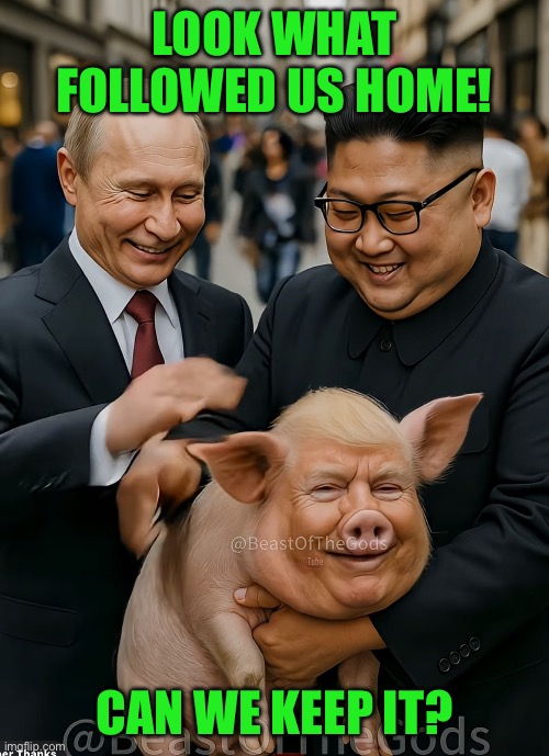 LOOK WHAT FOLLOWED US HOME! CAN WE KEEP IT? | made w/ Imgflip meme maker